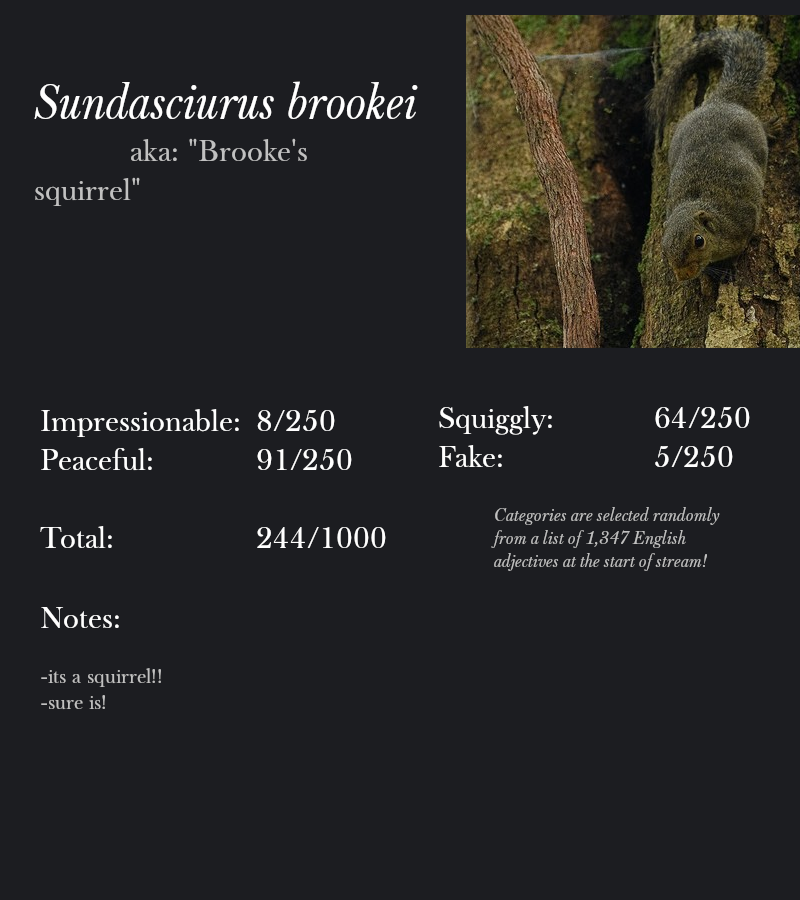 Sundasciurus brookei